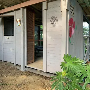 Dos - A Escoger Segun Disponibilidad De Caseta O , Caguas Puerto Rico